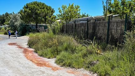 Ce que l'on sait de l'assassinat d'une octogénaire dans le Gard, pour lequel un collégien a été mis en examen