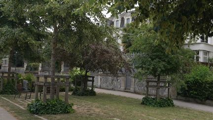 Angers : face à la canicule, la ville mise sur la végétalisation