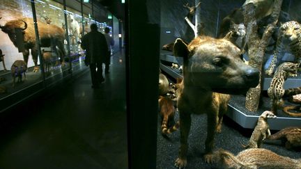 Le Muséum de Toulouse ferme ses portes en urgence à cause d'une panne de climatisation