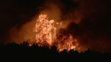 Incendie dans l'Hérault et l'Aude : au moins 800 hectares parcourus