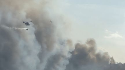 Incendies : plusieurs départs de feu et des centaines d'hectares parcourus