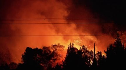 Dans l'Aude, l'incendie a déjà brûlé au moins 900 hectares