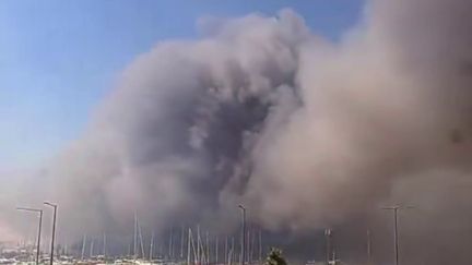 Trois campings en proie aux flammes et 3 000 personnes évacuées en urgence : le Canet-en-Roussillion face un violent incendie