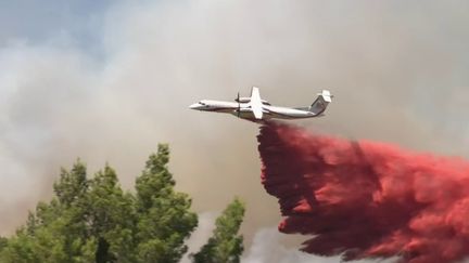 Comment l'incendie a-t-il pu progresser si vite dans l'Aude ?