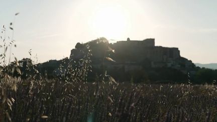 Grignan, joyau de la Drôme provençale aux mille trésors