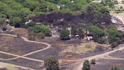 Campings détruits, forêts calcinées... Les incendies vus depuis les airs