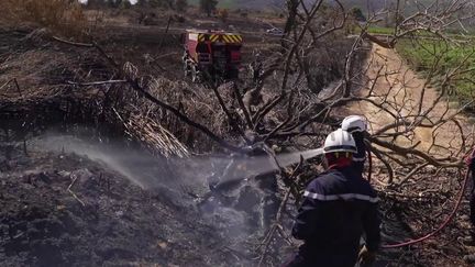 Dans l'Aude, pompiers et habitants guettent le moindre départ de feu, après l'incendie qui a ravagé 900 hectares