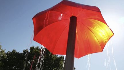 Arbres, brumisateurs... Comment Niort s'adapte aux fortes chaleurs