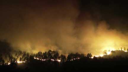 Incendie dans la forêt de Fontainebleau : déjà 5% de la surface brûlée et une
