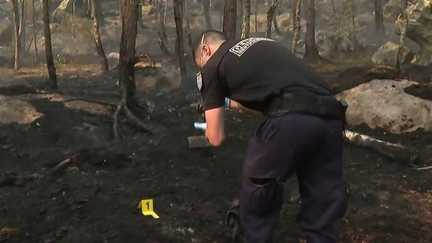 Incendie dans la forêt de Fontainebleau : les gendarmes progressent dans l'enquête sur la recherche d'éventuels responsables