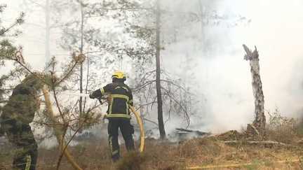 Incendies de Fontainebleau : pourquoi les reprises sont encore nombreuses dans la forêt, bien que le feu soit fixé
