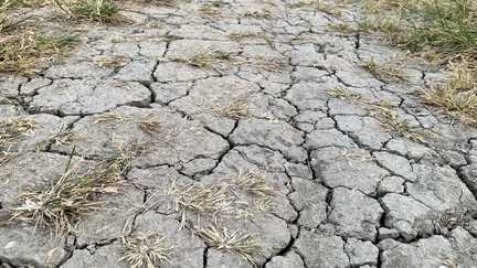 Alerte sécheresse : le syndicat Eau 17 demande aux habitants de l'île de Ré de réduire leur consommation d'eau