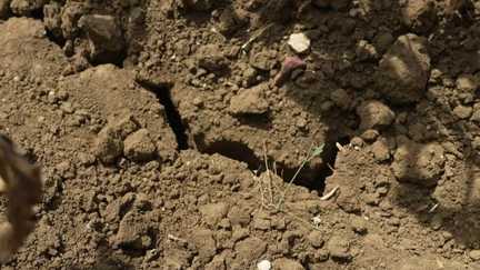 Loi d'urgence agricole :