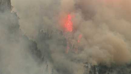 Incendies : près de 40 000 hectares partis en fumée en France depuis le début de l'année
