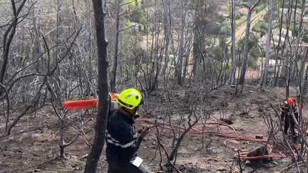 Dans le Var, les habitants commencent à évaluer les dégâts après l'incendie