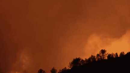 Un incendie ravage le Var, déjà 2 500 hectares ont brûlé