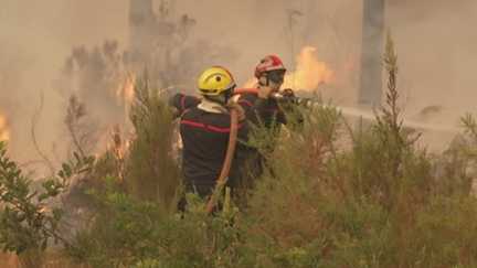 En Gironde, la lutte acharnée des pompiers face à un incendie erratique