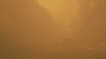 Plus de 12 500 hectares brûlés en Gironde et au moins 44 000 personnes évacuées : le scénario noir