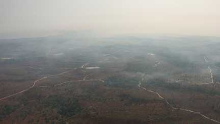 Corrèze, Aveyron, Charente... Les odeurs des fumées des incendies dans le Sud-Ouest se propagent sur une grande partie du territoire