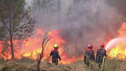 3 000 habitants autorisés à rentrer chez eux à Biscarrosse, mais le combat contre le feu se poursuit