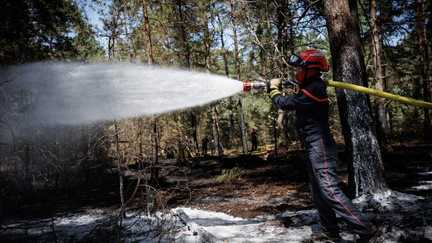 Un feu reprend en forêt de Fontainebleau, six hectares brûlés