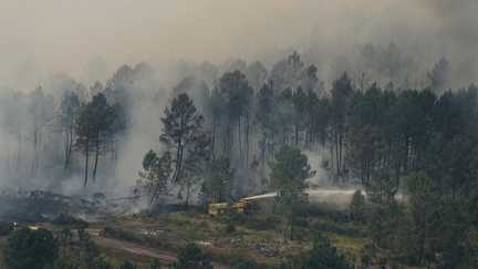 VRAI OU FAUX. Des bénévoles venus aider les pompiers à lutter contre les incendies ont-ils vraiment été refoulés, comme le racontent des internautes ?