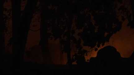 La reprise du feu dans la forêt de Fontainebleau désormais fixée :