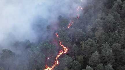 Les flammes de retour dans la forêt de Fontainebleau : les pompiers étaient prêts à intervenir pour fixer le feu