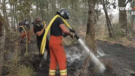Incendie en Gironde : une solidarité exceptionnelle avec les pompiers