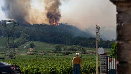 En Côte d'Or, le feu de forêt à proximité de Dijon est à présent fixé, annonce la préfecture