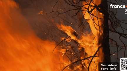 Incendies : des reprises de feu dans le Var