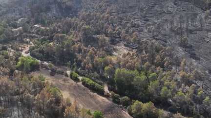 Incendie dans le Var : le village de Correns dévasté