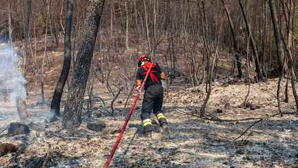 DIRECT. Incendie dans le Var : les pompiers poursuivent la lutte contre les reprises de feu, une hausse des températures et du vent à prévoir