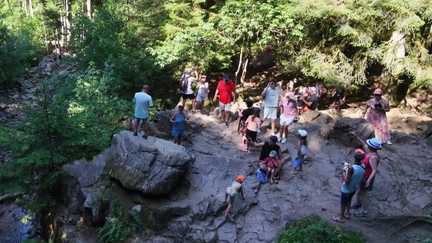 Face à la surfréquentation, les Vosges en quête de solutions pour protéger l'environnement de l'afflux de visiteurs