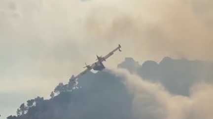 Dans l'Aude, 250 pompiers mobilisés face aux flammes