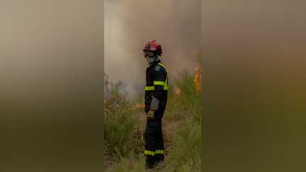 Alerte sur la santé des pompiers