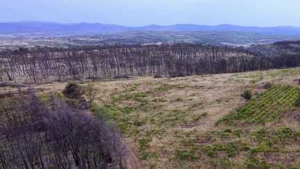 Retour avec les viticulteurs sur les incendies de l’Aude de 2025