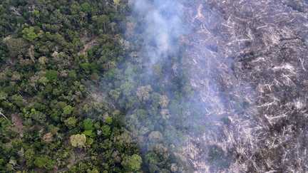 La déforestation dans l'Amazonie brésilienne est au plus bas sur un an, selon les dernières données satellite