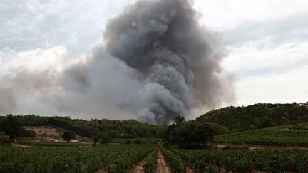 Incendie dans le Var : le feu du Gros Bessillon est fixé après 18 jours d'une mobilisation inédite des pompiers