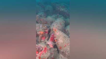Italie : une épave romaine vieille de 2000 ans découverte en Sicile