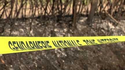 Deux-Sèvres : trois morts dans un incendie parti d'un champ