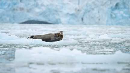 L'administration Trump annule un rapport sur l'Arctique, une nouvelle attaque à la science du climat aux Etats-Unis