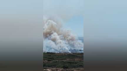 Canicule et sécheresse : des incendies en cours dans le Pas-de-Calais et l'Ille-et-Vilaine