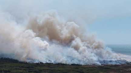 Côte d'Opale : un incendie ravageur dans les dunes forçant l'évacuation de plus de 1 000 campeurs