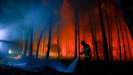 Plus de 500 personnes évacuées, 1 100 hectares parcourus, 500 pompiers mobilisés… Ce que l'on sait de l'incendie qui s'est déclaré dans les Landes