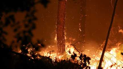 Incendie dans les Landes : la situation jugée