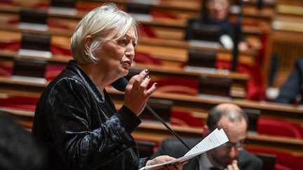 Le dispositif d'interdiction des réseaux sociaux pour les moins de 15 ans