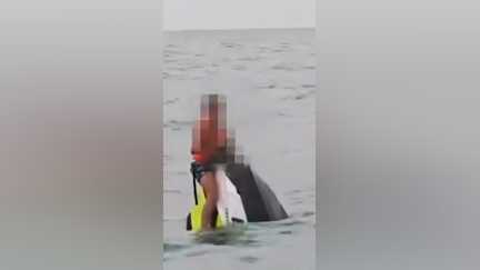 Thaïlande : des Français en jet-ski dérivent pendant 16 heures