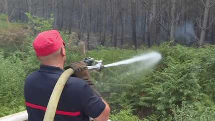 Les pompiers tentent de contenir à tout prix l’incendie dans les Landes