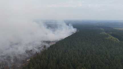 En Belgique, près de 3 000 hectares d'un parc naturel ont été ravagés par l'un des pires incendies de l'histoire du pays